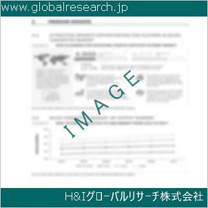 グローバルリサーチ調査資料のイメージ